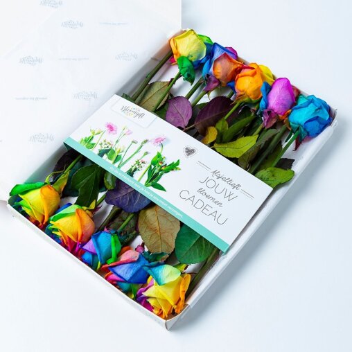 Brievenbus Rozen regenboog (10 stuks)